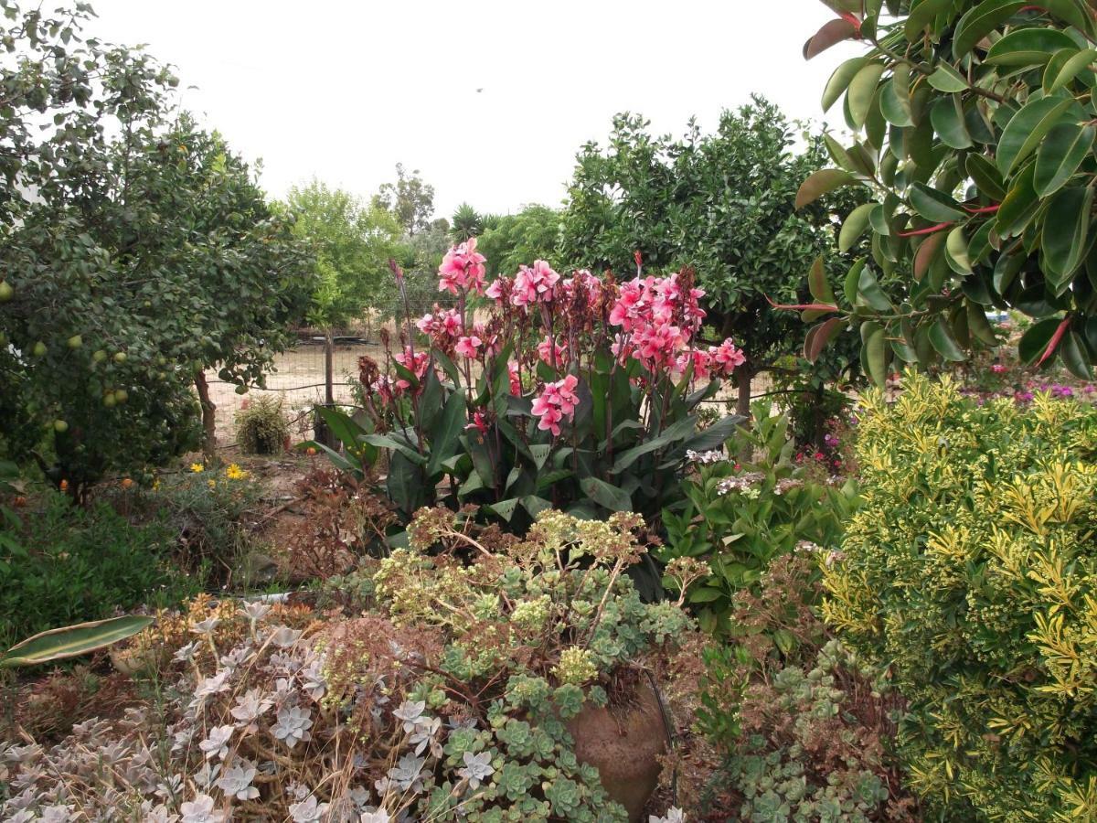 Quinta Do Pinheiro Hotel Grândola Buitenkant foto